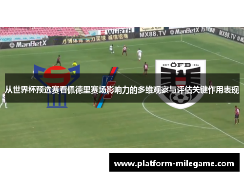 从世界杯预选赛看佩德里赛场影响力的多维观察与评估关键作用表现