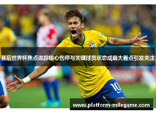 赛后世界杯焦点追踪核心伤停与关键球员状态成最大看点引发关注